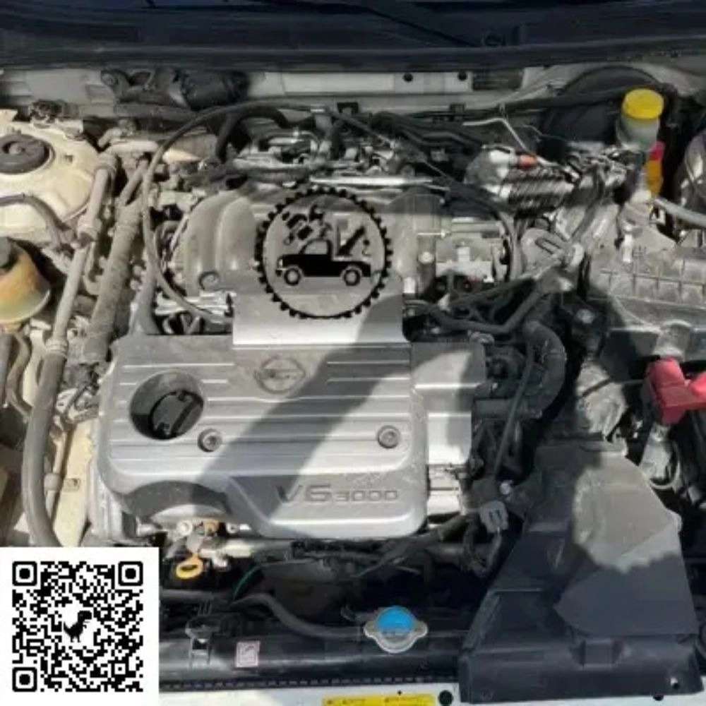 1777377245839.webp