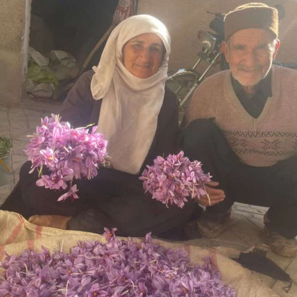1777787986849.webp