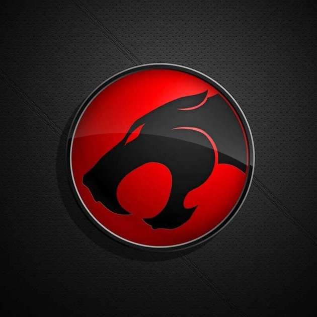 1779532195355.webp