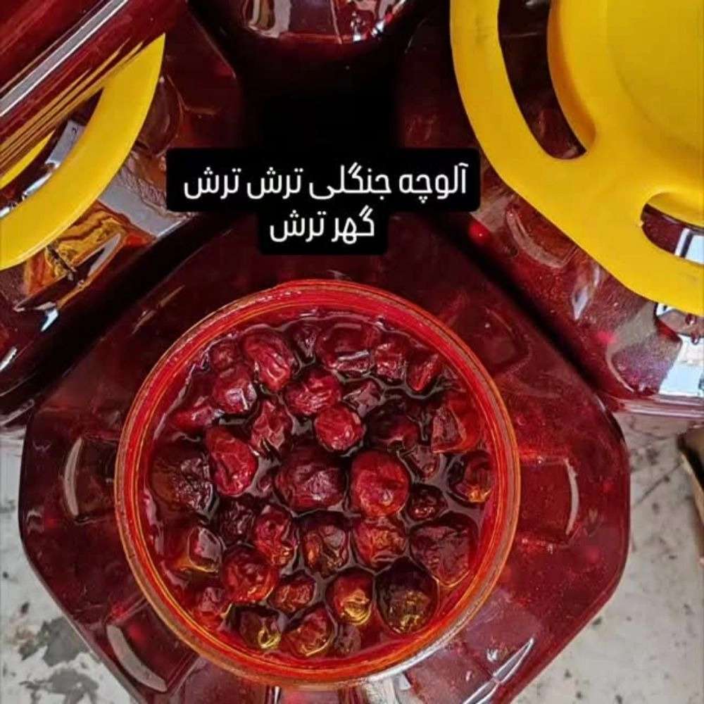 1780740308631.webp