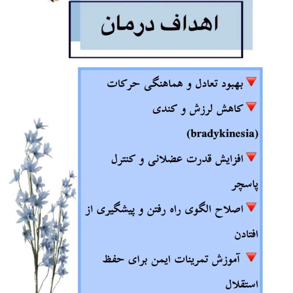 1781762822570.webp
