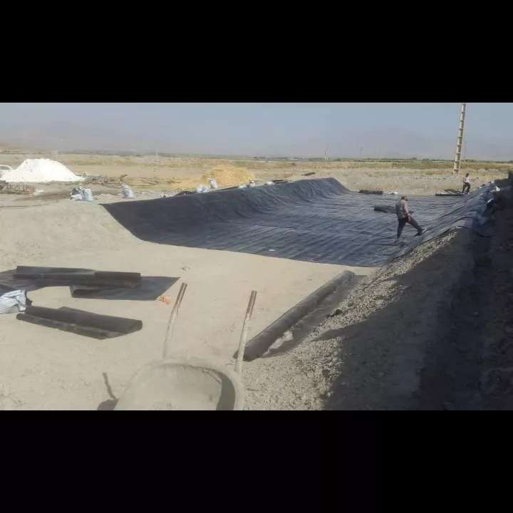 1687695249768.webp