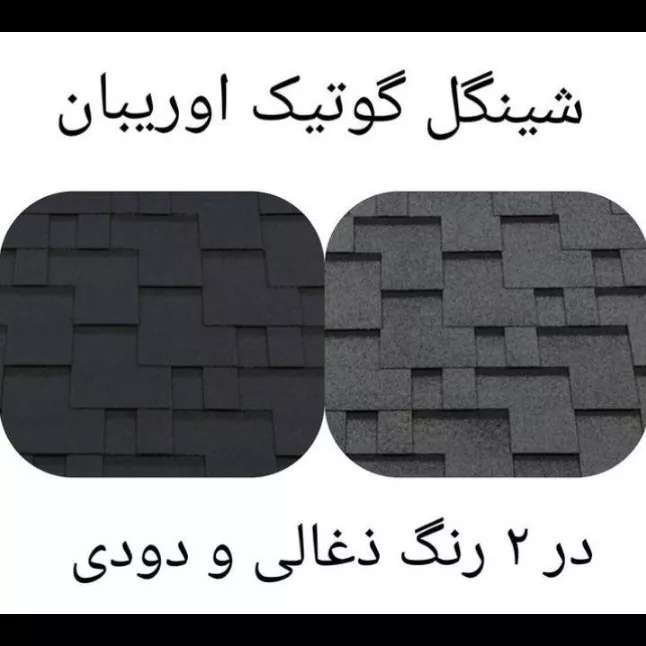 1688283929663.webp