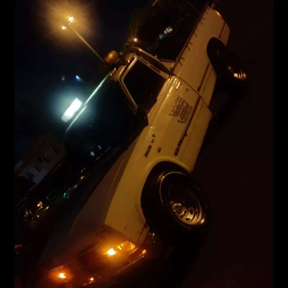 1688558969554.webp