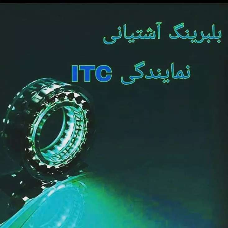 1688978433204.webp