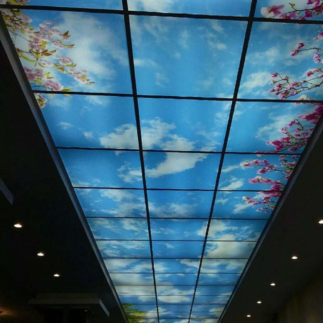 1690625698432.webp