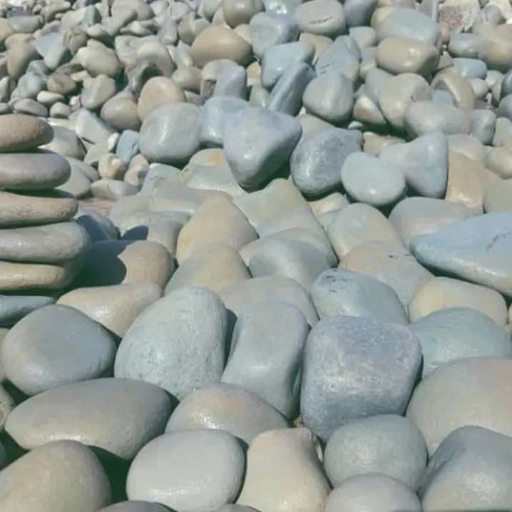 1690794334294.webp