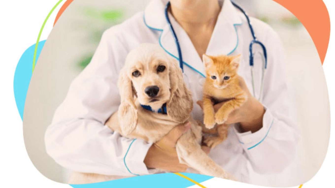 کلینیک دامپزشکی