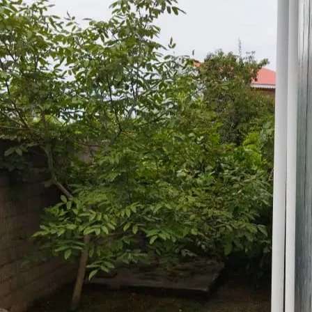 1692430695425.webp