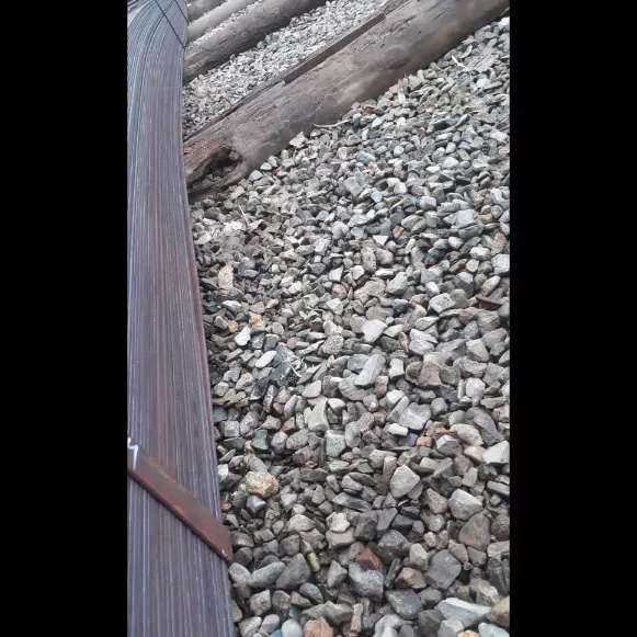1692531935503.webp