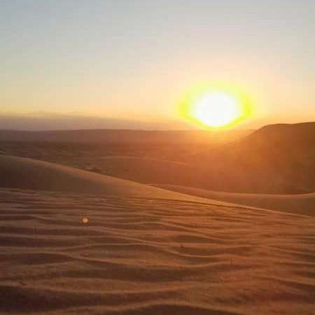 1693028994488.webp