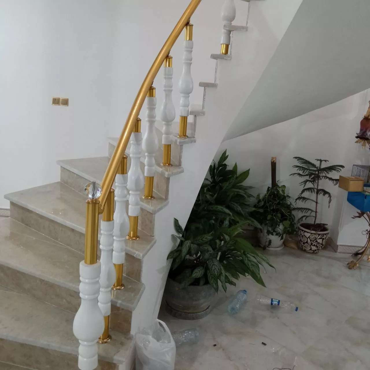 1693038542550.webp