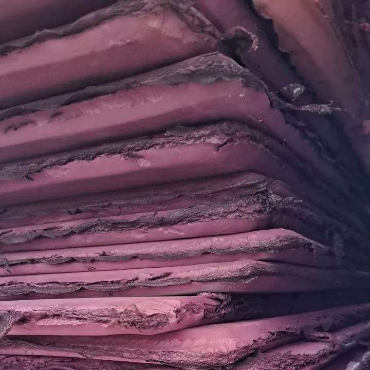 1693463008883.webp