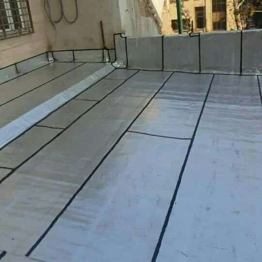 1693636902571.webp