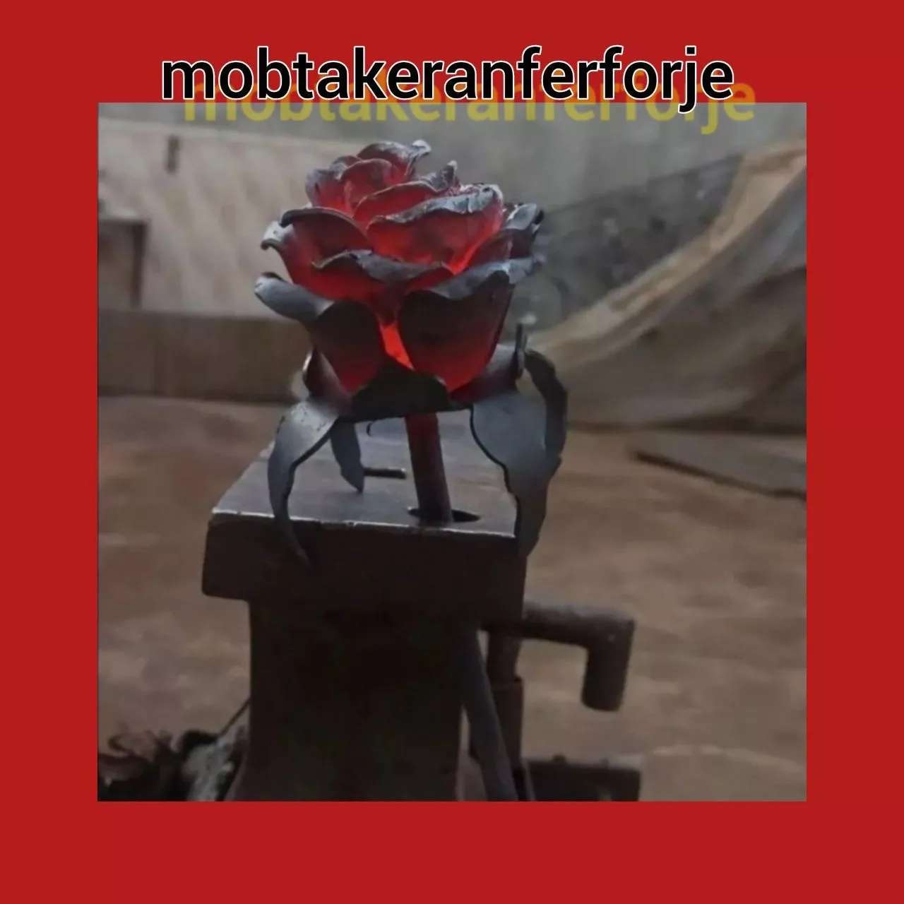 1693642036086.webp