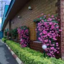 1693651862223.webp