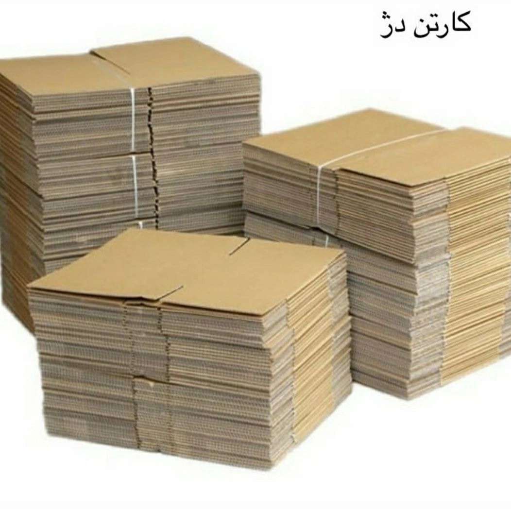 1693812966461.webp