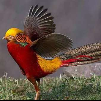 1693816126300.webp