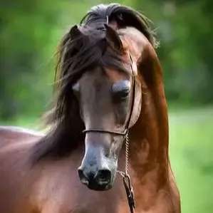 1693902744544.webp