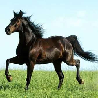 1693902761243.webp