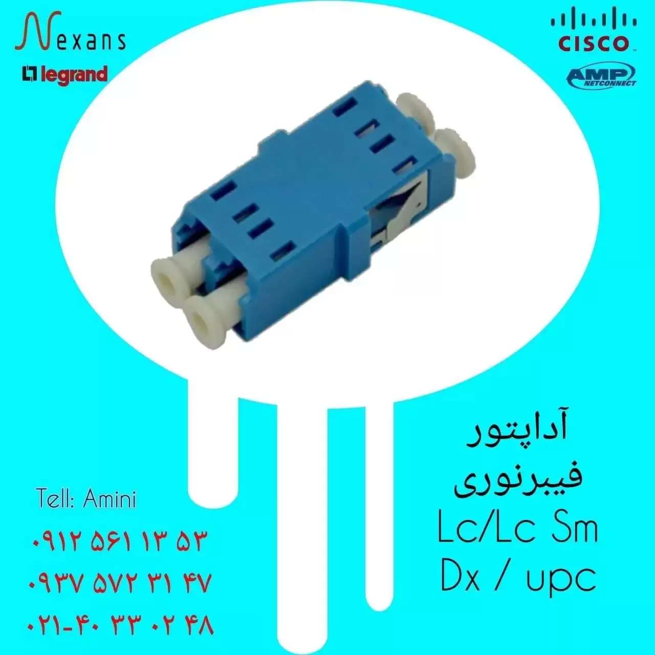 1694243581703.webp