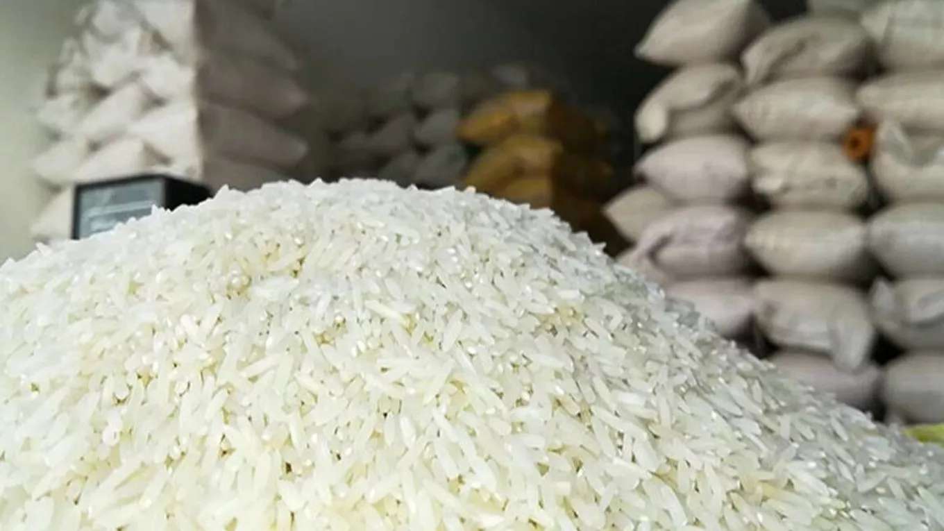 برنج کوبی قائم آل محمد