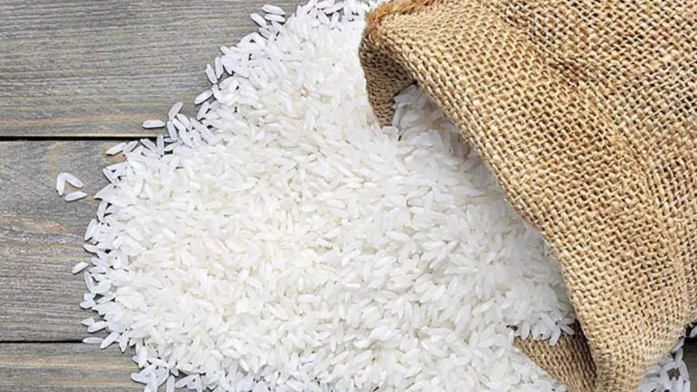 برنج کوبی قائم آل محمد