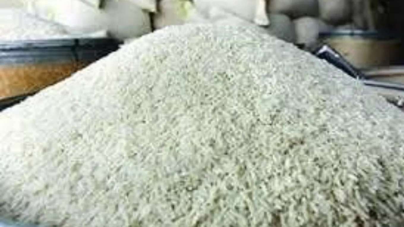 بازرگانی برنج برادران احمد نیا