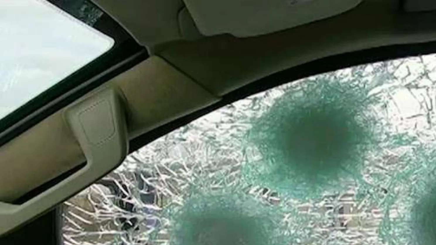 شرکت گارد گلس