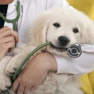 1694338633462.webp