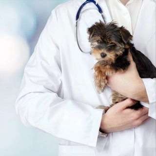 1694338643562.webp