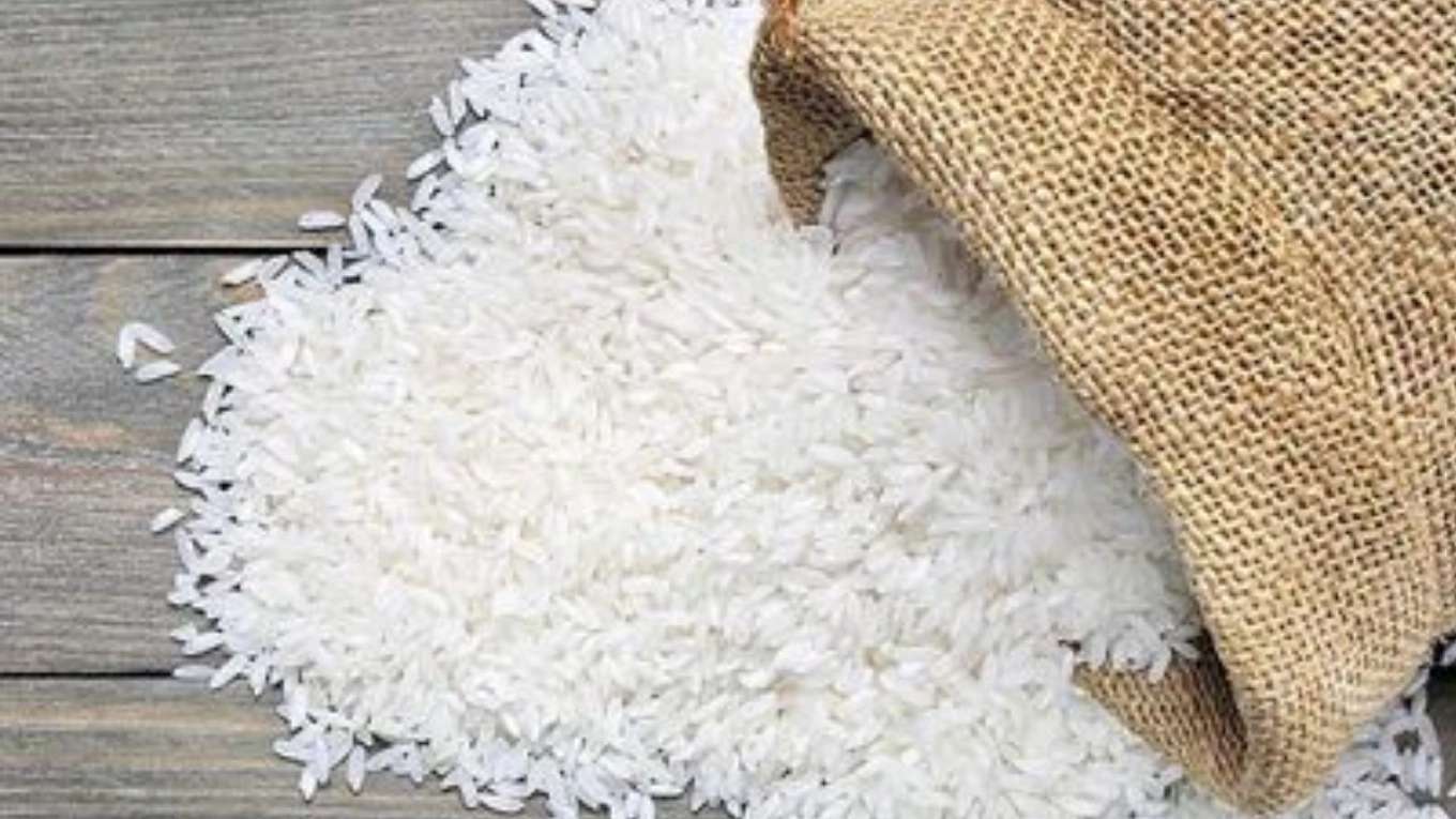 برنج فروشی خزر