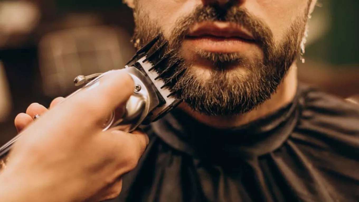 پیرایش مدرن شاهین
