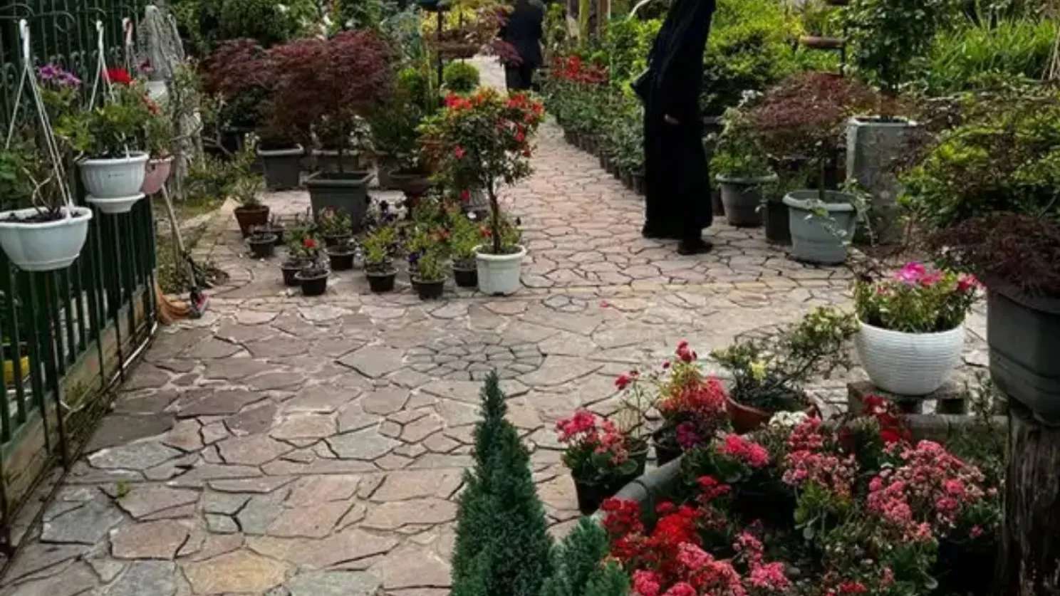 مجموعه گیل گل
