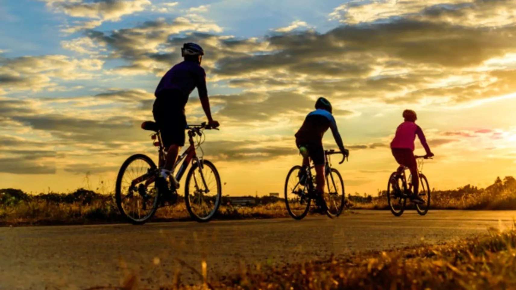 فروشگاه دوچرخه کنخ چرخ