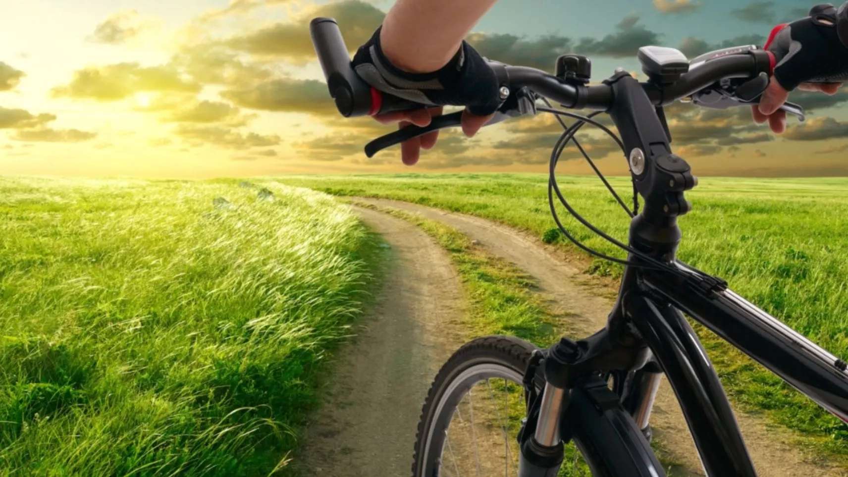 فروشگاه دوچرخه کنخ چرخ