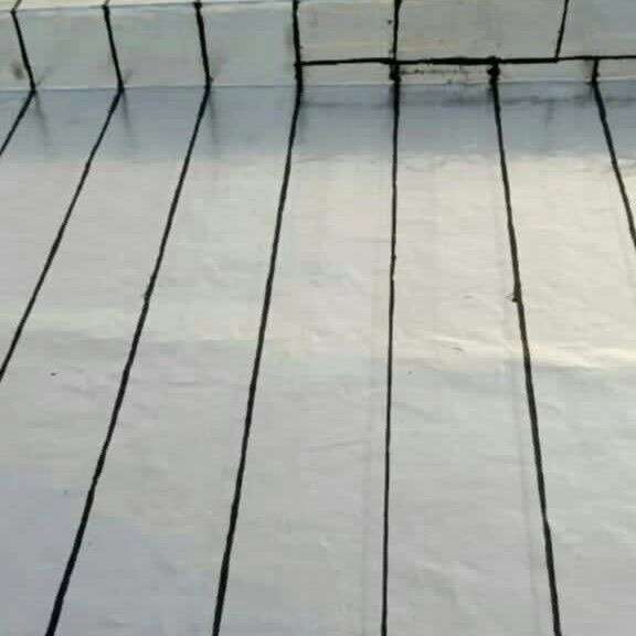 1694931434525.webp