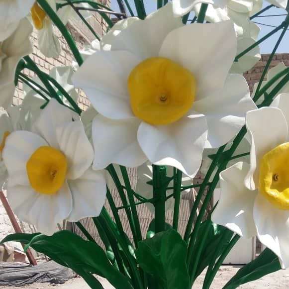 1694945540850.webp