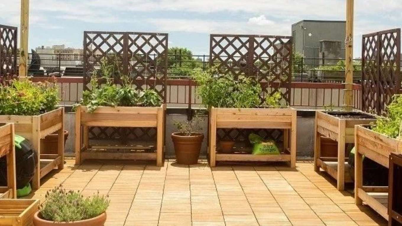 گروه ساختمانی ماد