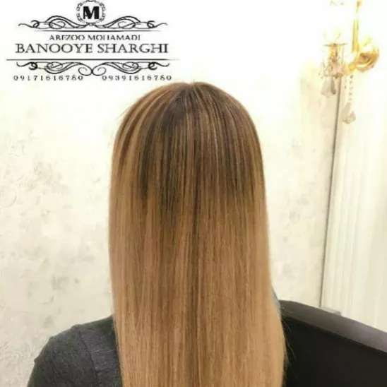 1695199306209.webp