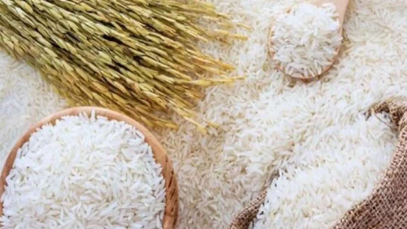 تولیدی برنج گیلان خزر
