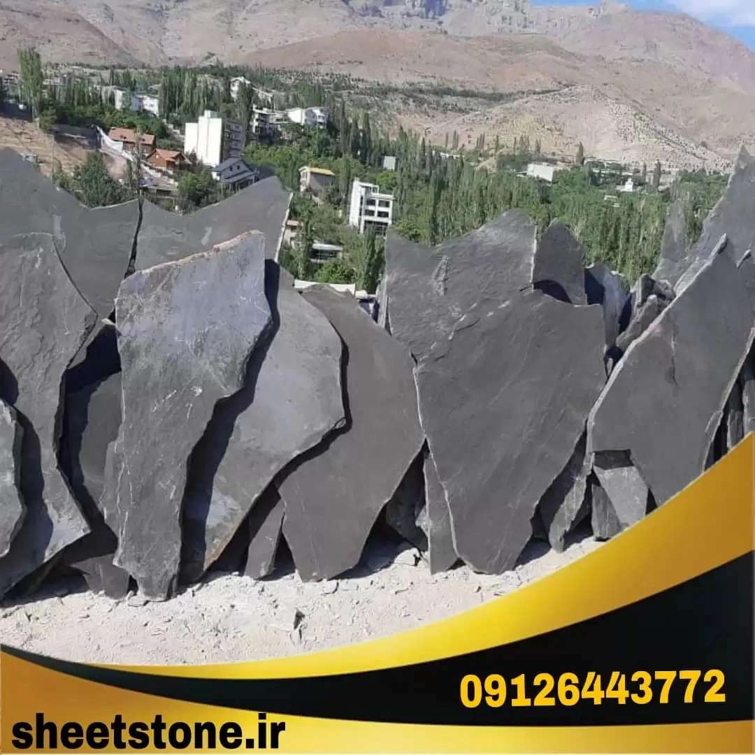 1696154029972.webp