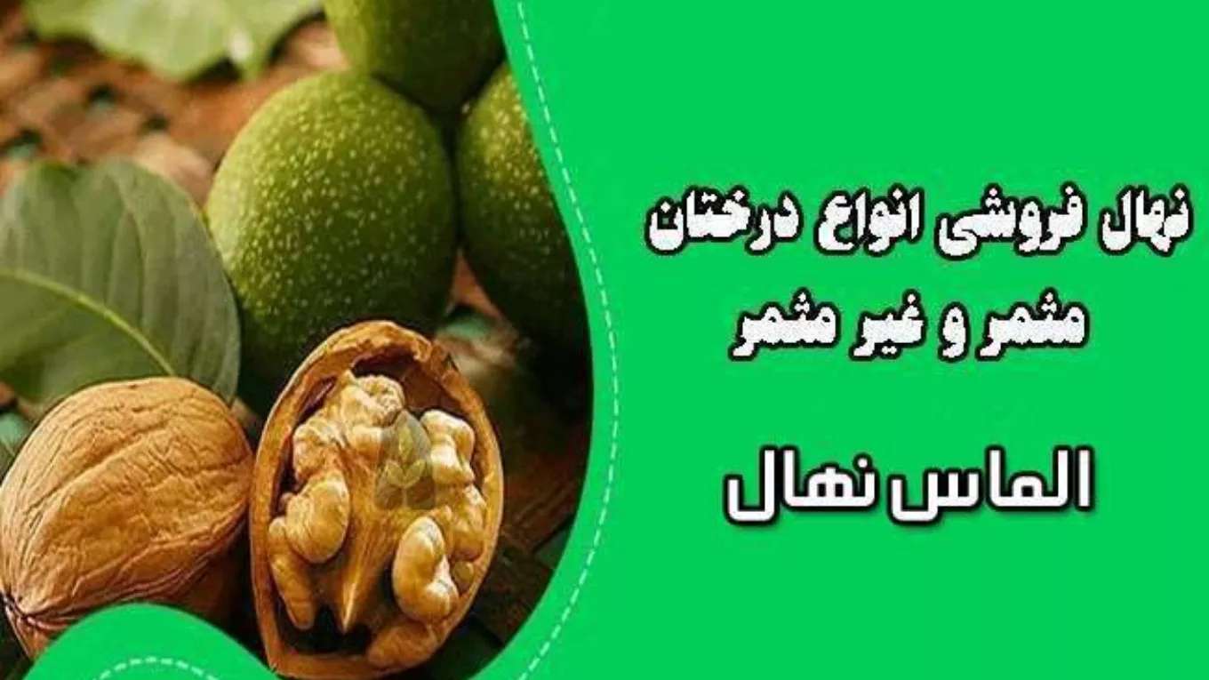 نهالستان الماس نهال
