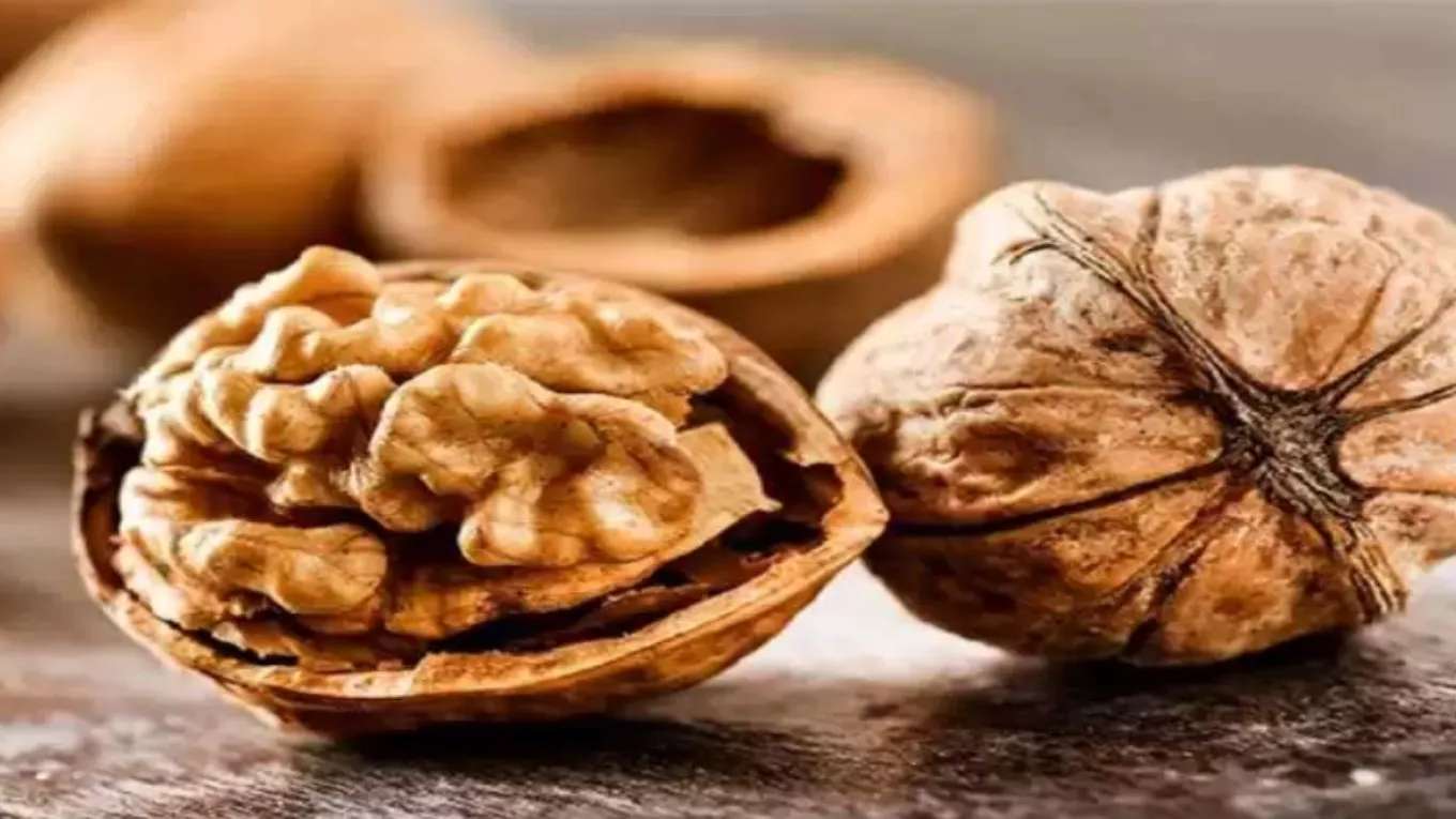 نهالستان الماس نهال