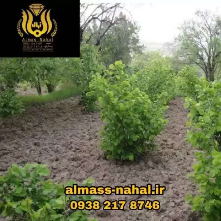 1696223649350.webp
