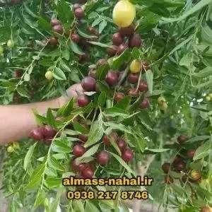 1696223659363.webp