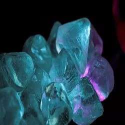 1696487380555.webp