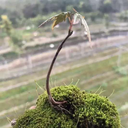 1696742686448.webp