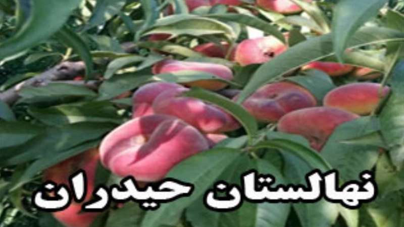 نهالستان حیدران