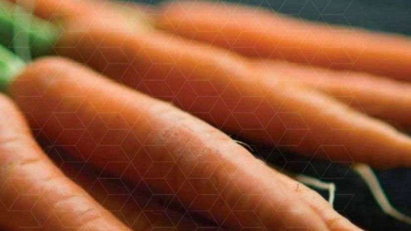 مجموعه کشاورزی راویس